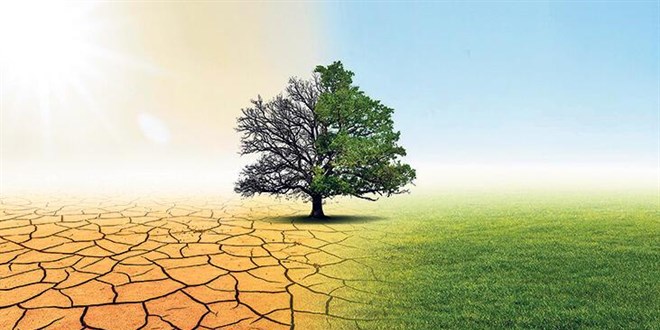 Türkiye, 2022'deki kritik adımlarla iklim değişikliğiyle mücadelesini güçlendirecek