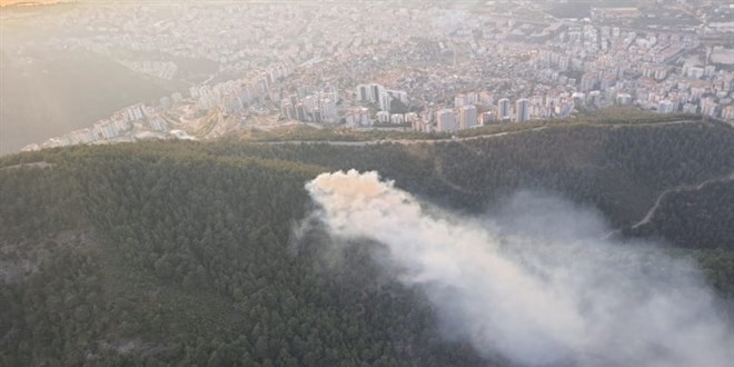 İzmir'deki orman yangını kontrol altına alındı