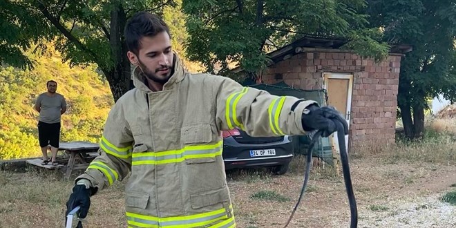 Tunceli'de binaya giren yılanı itfaiye ekipleri çıkardı