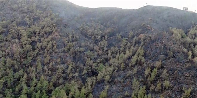 PKK'nın talimatıyla ormanları yakan sanığa ağırlaştırılmış müebbet istendi