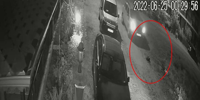 Uyuyan köpeği ezdi, arkasına bile bakmadı