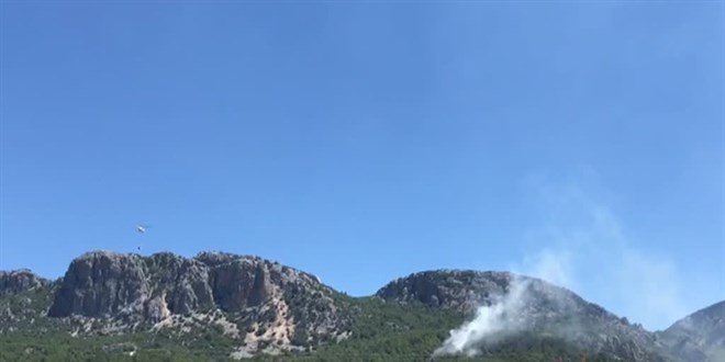 Antalya'da çıkan orman yangınına havadan ve karadan müdahale ediliyor