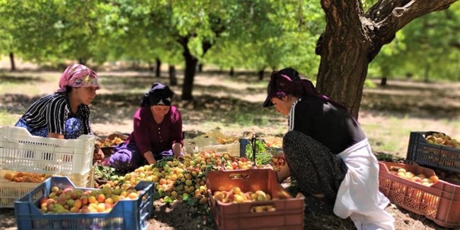 Asgari ücretin altında işçi çalıştıranlara yasal işlem