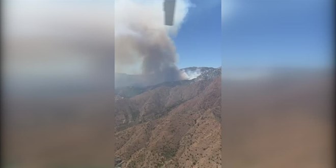 Datça'da çıkan orman yangınına havadan ve karadan müdahale ediliyor
