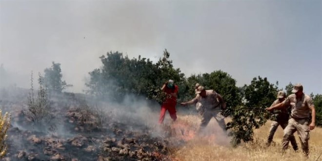 Bingöl'de çıkan orman yangını söndürüldü