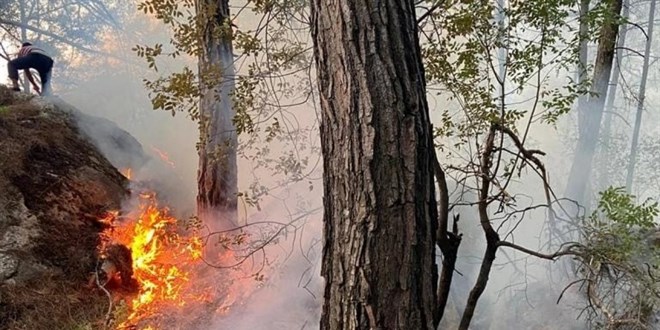 Antalya'da çıkan orman yangını söndürüldü