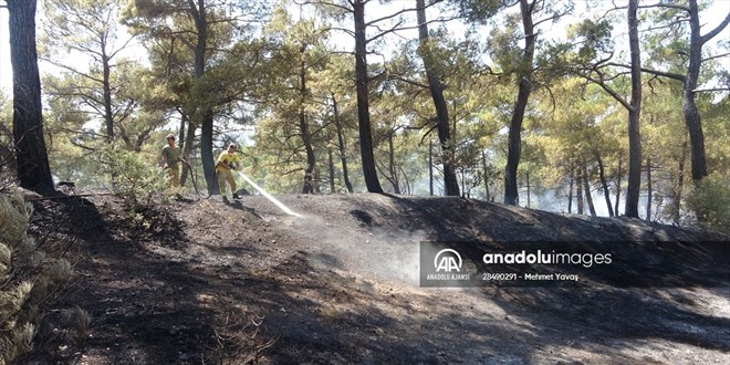 Çanakkale'deki orman yangını kontrol altına alındı