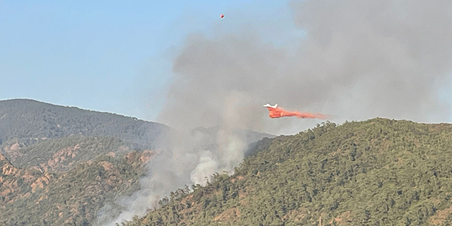 Marmaris'te çıkan orman yangını kontrol altına alındı