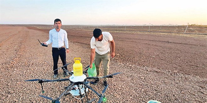 Drone ile ilaçlama çiftçiye kazandırdı: 10 dönümü 10 dakikada hallediyor