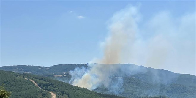Çanakkale'de çıkan orman yangını kontrol altına alındı
