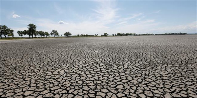 Avrupa'da kuraklk: 500 yln en kts olabilir
