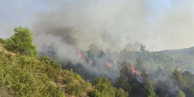 Manisa'da orman yangn: Havadan ve karadan mdahale ediliyor