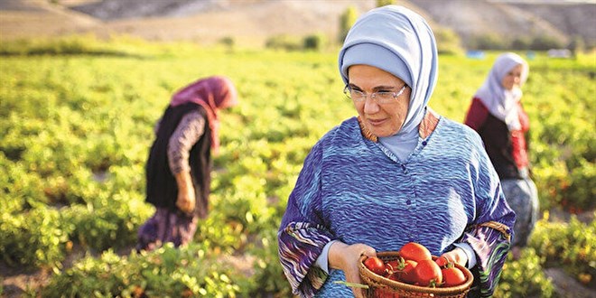 Ata tohumu domatesten menemen