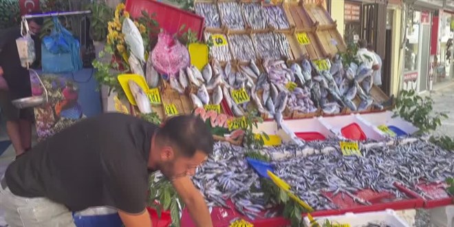 Karadeniz'deki palamut bolluğu Edirne'deki tezgahları şenlendirdi