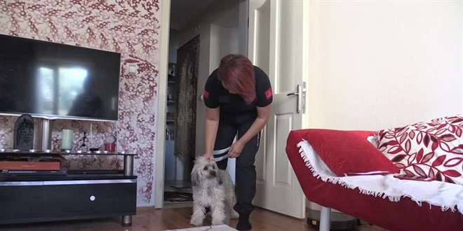Kazada yaralanan Çekyalı çiftin köpeği Emine hemşireye emanet