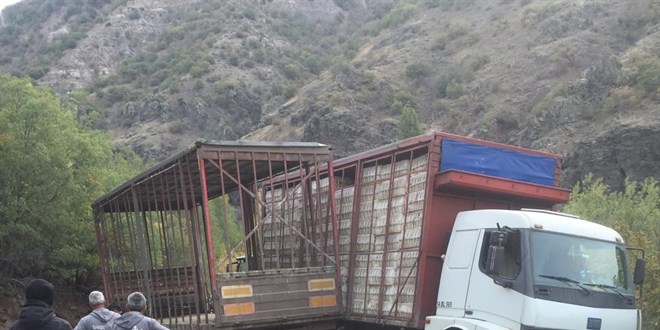 Uçuruma giden kamyonundan atladı; altında kalarak öldü