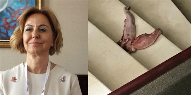 'Dana dili' ile doktoru tehdit eden şüpheliye dava