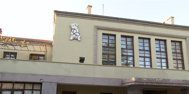 'Kuduz şüphesi gördüğünüz hayvana müdahale etmeyin' uyarısı