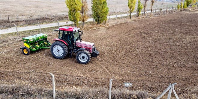 Buğday eken belediye ihtiyaç sahiplerine un dağıtacak