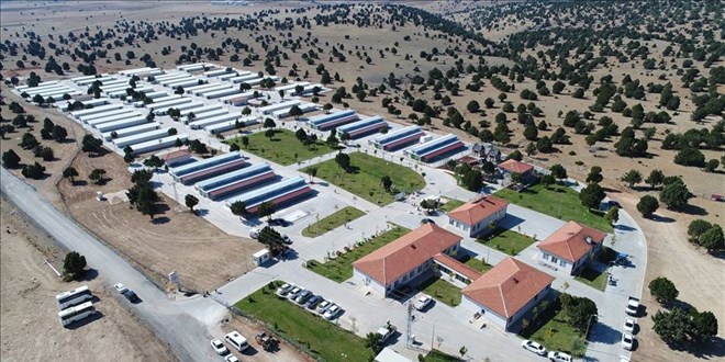 Konya'daki barınakta bulunan hayvanlar sağlık taraması ve muayeneden geçirilecek