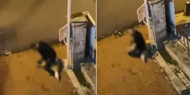 Sarıyer'de köpeği boğmaya çalıştığı belirlenen zanlı tutuklandı