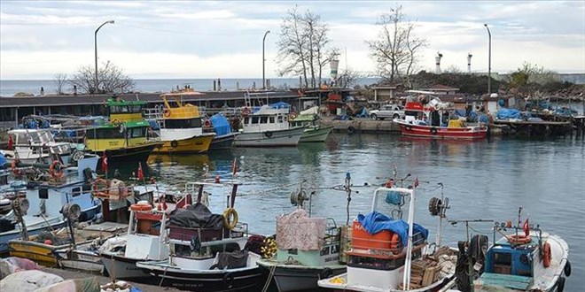 Balıkçılar hamside umduğunu bulamadı