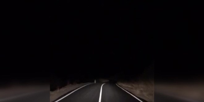 Kars'ta aç kalan kurtlar köye indi
