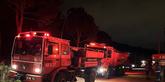 Denizli'de çıkan orman yangını kontrol altına alındı