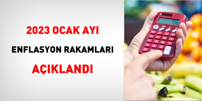 Ocak ayı enflasyon rakamları açıklandı