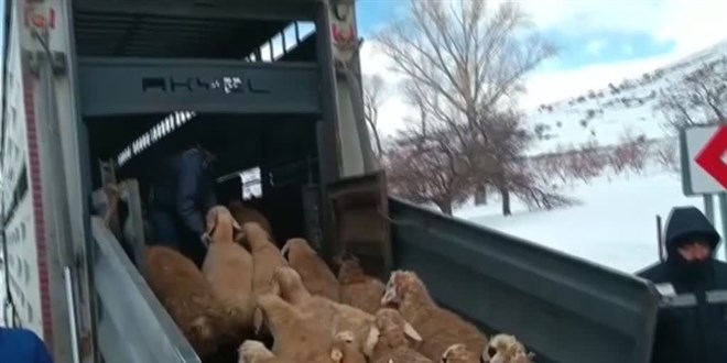Depremzede çiftçiye ekonomik destek sağlanacak