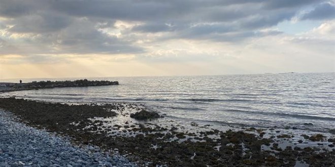 Muğla ve Hatay'da deniz suyu çekildi