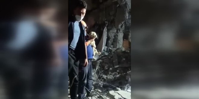 Hatay'da depremin 25. gününde enkazdan bir köpek canlı çıkartıldı