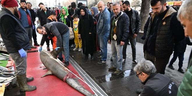 'Camgöz'ü satmak isteyince 33 bin lira ceza yedi