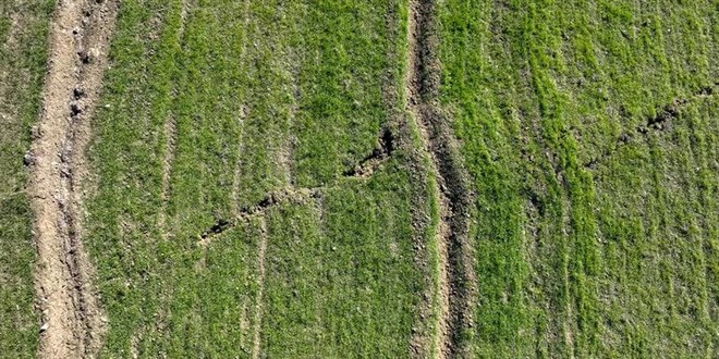 Deprem felaketi tarımı vurdu: Zarar 24 milyar liranın üzerinde