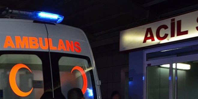 Ankara'da babo kpeklerin saldrsna urayan kadn yaraland
