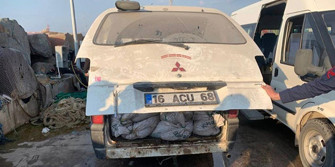 İmha için verilen deniz patlıcanlarını satan Tarım Müdürlüğü çalışanı tutuklandı