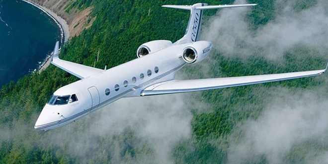 Koltuğunun altında kobra yılanı gören Güney Afrikalı pilot acil iniş yaptı