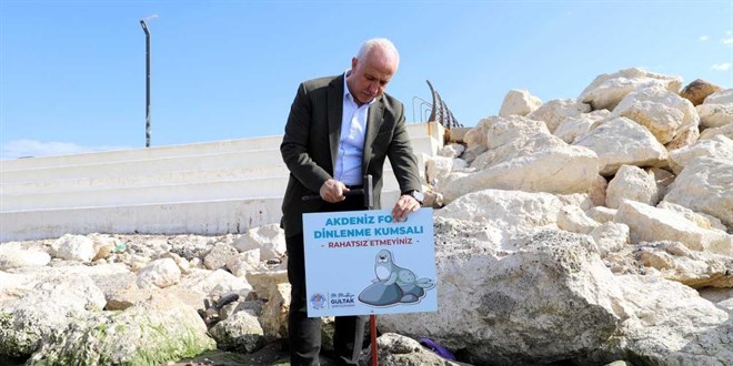 Mersin'de Akdeniz fokları için uyarı tabelası dikildi