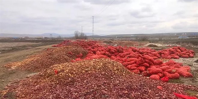 Gıdaya zehir doğrama organizasyonu
