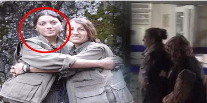 Yeşil Sol Parti Milletvekili Adayı Ayten Dönmez gözaltına alındı