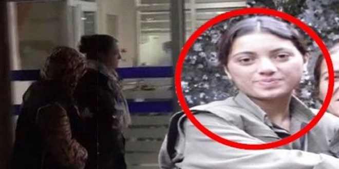 Yeşil Sol Parti adayı Ayten Dönmez tutuklandı