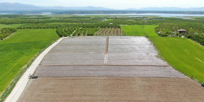 Deprem tarımı da vurdu, mevsimlik işçi bulunamıyor