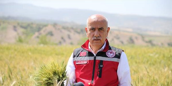 Bakan Kirişci 21 milyon ton buğday rekoltesi beklendiğini açıkladı