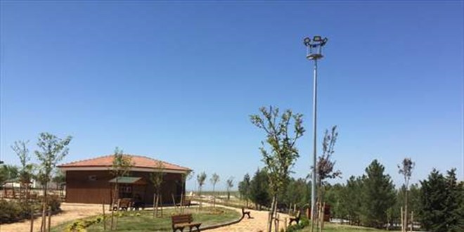 'Millet ormanı' sayısı bu yıl 19'a çıkacak