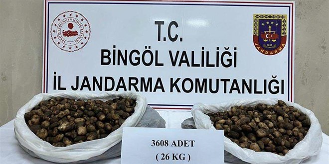 Kaçak salep soğanı toplayan 2 kişiye 488 bin lira ceza