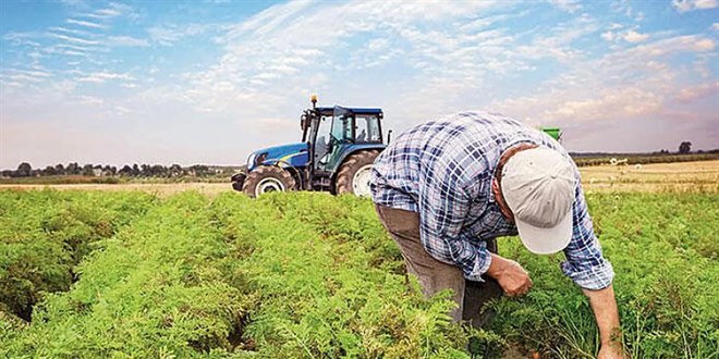 Çiftçilere yaklaşık 75,8 milyon liralık tarımsal destek ödemesi bugün yapılacak