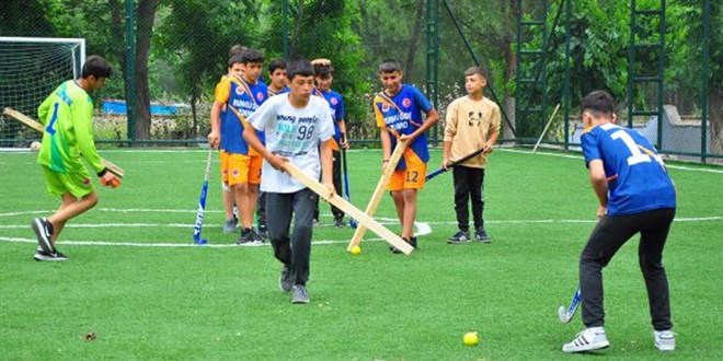 Tahta sopalarla başladıkları hokeyde profesyonelliğe adım attılar