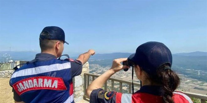 Muğla'da orman yangınlarına karşı üst seviye tedbir