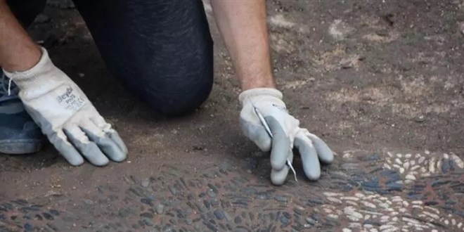 Sinop'ta Helenistik döneme ait olduğu değerlendirilen mozaik bulundu