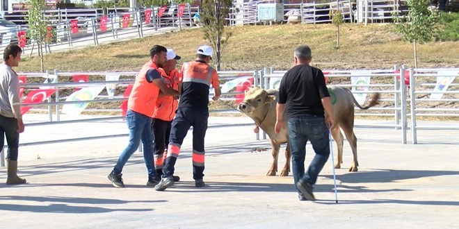 Kurban yakalama timi göreve hazır